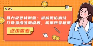 (13184期)暴力起号特训营:拆解模仿测试,打造易爆流量模板,积累账号权重 - 严选资源大全 - 严选资源大全