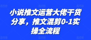 小说推文运营大佬干货分享,推文混剪0-1实操全流程 - 严选资源大全 - 严选资源大全