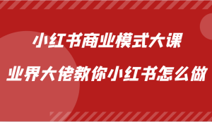 小红书商业模式大课,业界大佬教你小红书怎么做【视频课】 - 严选资源大全 - 严选资源大全