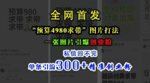 小红书“预算4980带我飞”图片打法,一张图片引爆创业粉,私信回不完,单条引流300+精准创业粉 - 严选资源大全 - 严选资源大全