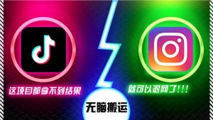 抖音无脑搬运,如果这项目都拿不到结果,你可以退网了 - 严选资源大全 - 严选资源大全