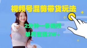 视频号混剪玩法,2分钟一条视频,单月变现2W+【揭秘】 - 严选资源大全 - 严选资源大全
