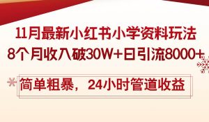 (13234期)11月份最新小红书小学资料玩法,8个月收入破30W+日引流8000+,简单粗暴… - 严选资源大全 - 严选资源大全