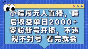 (13251期)小程序无人直播,睡后收益单日2000+ 零粉新号开播,不违规不封号 看完就会 - 严选资源大全 - 严选资源大全