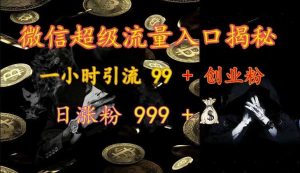 微信超级流量入口揭秘:一小时引流 99 + 创业粉,日涨粉 999 + - 严选资源大全 - 严选资源大全