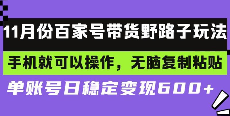 (13281期)百家号带货野路子玩法 手机就可以操作,无脑复制粘贴 单账号日稳定变现… - 严选资源大全 - 严选资源大全