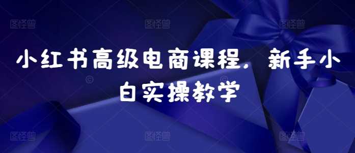 小红书高级电商课程，新手小白实操教学 - 严选资源大全 - 严选资源大全