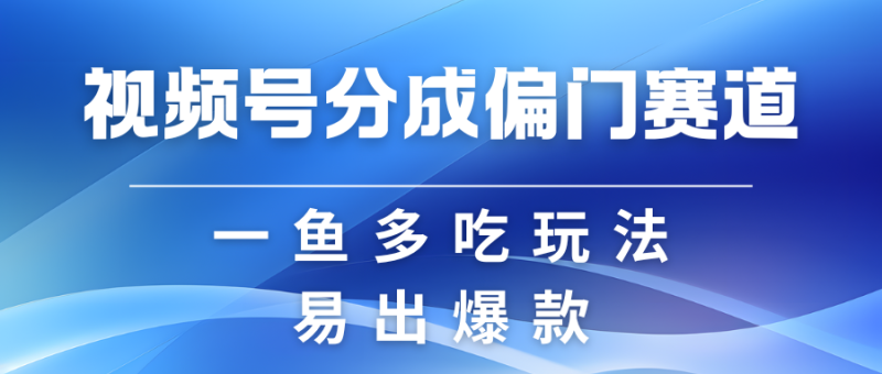 视频号创作者分成计划偏门类目，容易爆流，实拍内容简单易做 - 严选资源大全 - 严选资源大全
