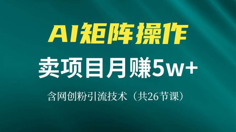 (13335期)网创IP打造课,借助AI卖项目月赚5万+,含引流技术(共26节课) - 严选资源大全 - 严选资源大全