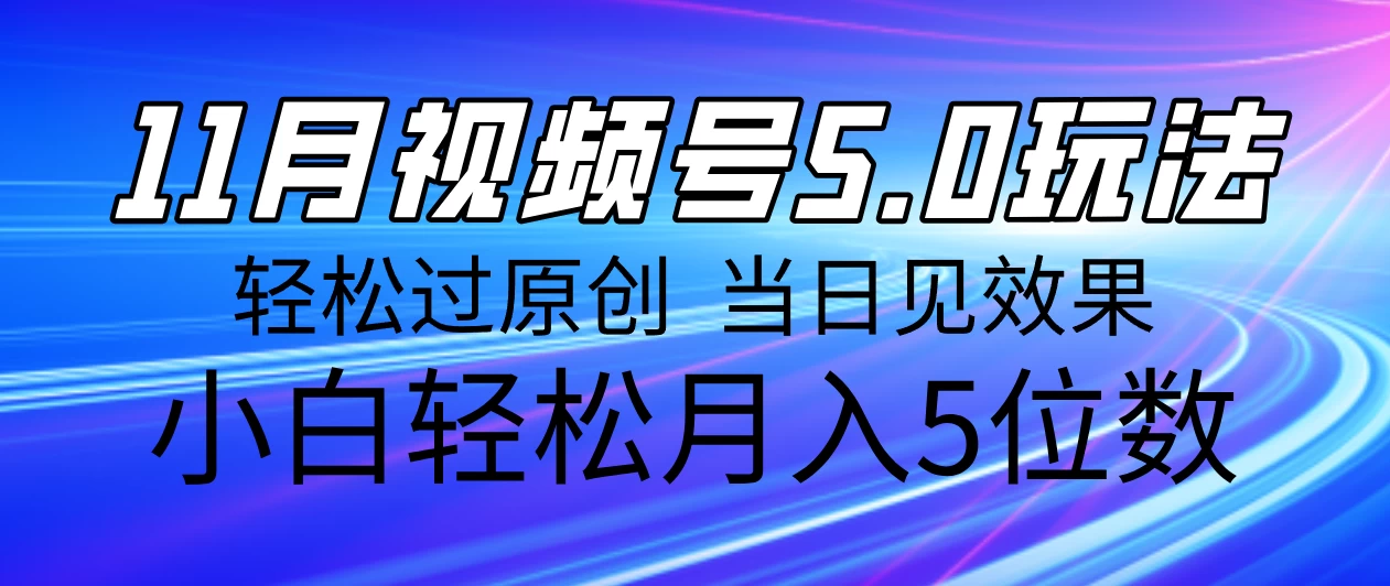 11月最新视频号5.0玩法，轻松过原创，当日见效果，小白轻松月入5位数 - 严选资源大全 - 严选资源大全