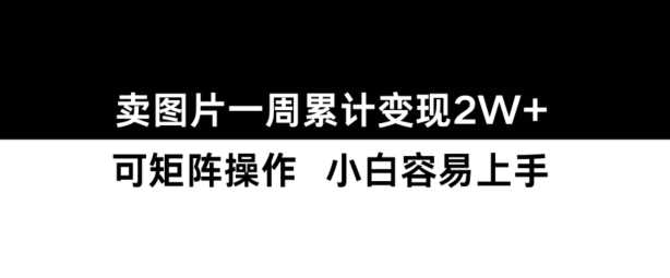 小红书【卖图片】一周累计变现2W+小白易上手 - 严选资源大全 - 严选资源大全
