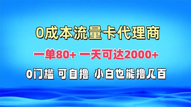 （13391期）免费流量卡代理一单80+ 一天可达2000+ - 严选资源大全 - 严选资源大全