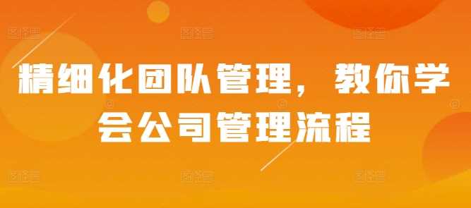 精细化团队管理，教你学会公司管理流程 - 严选资源大全 - 严选资源大全