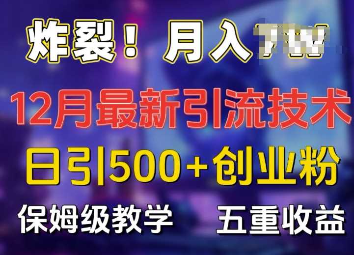 炸裂!揭秘12月最新日引流500+精准创业粉，多重收益保姆级教学 - 严选资源大全 - 严选资源大全