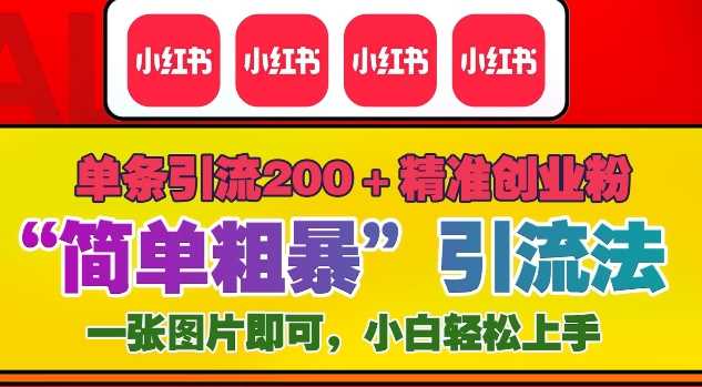 12月底小红书”简单粗暴“引流法，单条引流200+精准创业粉 - 严选资源大全 - 严选资源大全