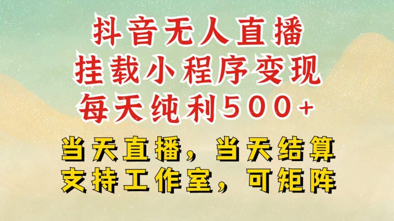 抖音无人挂机项目,轻松日入500+,挂载小程序玩法,不违规不封号,有号的一定挂起来 - 严选资源大全 - 严选资源大全