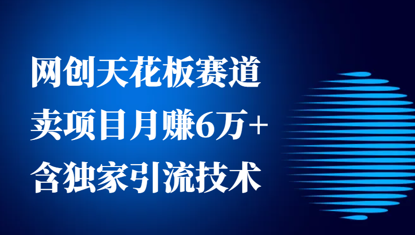 网创天花板赛道，卖项目月赚6万+，含独家引流技术（共26节课） - 严选资源大全 - 严选资源大全
