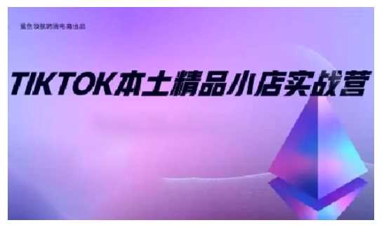 TikTok本土精品小店出海实战营，从入门到高阶，不止0-1! - 严选资源大全 - 严选资源大全
