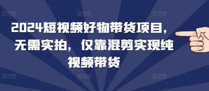 2024短视频好物带货项目，无需实拍，仅靠混剪实现纯视频带货 - 严选资源大全 - 严选资源大全