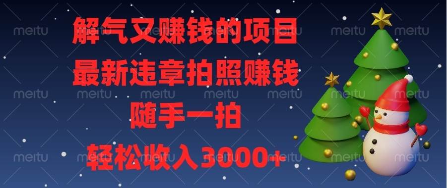 （13804期）解气又赚钱的项目，最新违章拍照赚钱，随手一拍，轻松收入3000+ - 严选资源大全 - 严选资源大全
