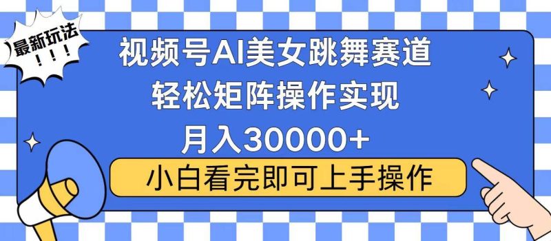 (13813期)视频号蓝海赛道玩法,当天起号,拉爆流量收益,小白也能轻松月入30000+ - 严选资源大全 - 严选资源大全