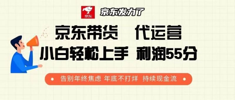 (13833期)京东带货 代运营 利润55分 告别年终焦虑 年底不打烊 持续现金流 - 严选资源大全 - 严选资源大全