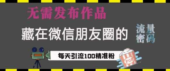 藏在微信朋友圈的流量密码，无需发布作品，单日引流100+精准创业粉【揭秘】 - 严选资源大全 - 严选资源大全