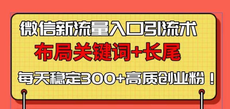 (13897期)微信新流量入口引流术,布局关键词+长尾,每天稳定300+高质创业粉! - 严选资源大全 - 严选资源大全