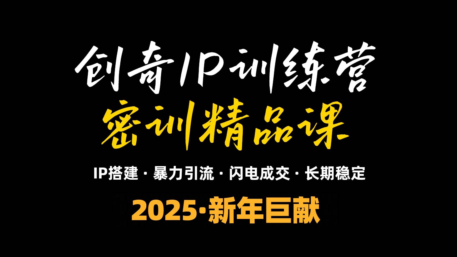 （13898期）2025年“知识付费IP训练营”小白避坑年赚百万，暴力引流，闪电成交 - 严选资源大全 - 严选资源大全