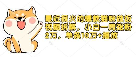 最近很火的爆款猫咪做饭视频拆解，小白一周涨粉2万，单条10万+播放(附保姆级教程) - 严选资源大全 - 严选资源大全