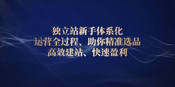 （13914期）独立站新手体系化 运营全过程，助你精准选品、高效建站、快速盈利 - 严选资源大全 - 严选资源大全