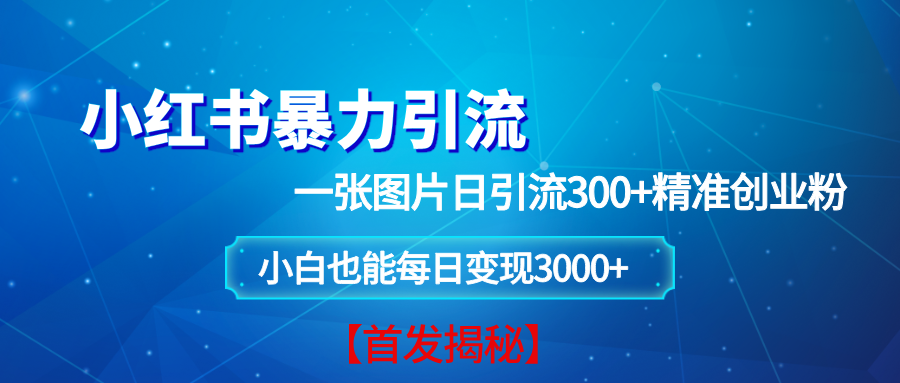 （13935期）小红书暴力引流法，一张图片日引 300+精准创业粉，每日稳定变现 3000+【揭秘】 - 严选资源大全 - 严选资源大全