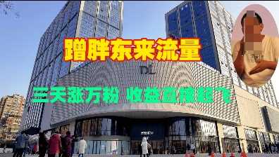 蹭胖东来流量，三天涨万粉，收益直接起飞 - 严选资源大全 - 严选资源大全