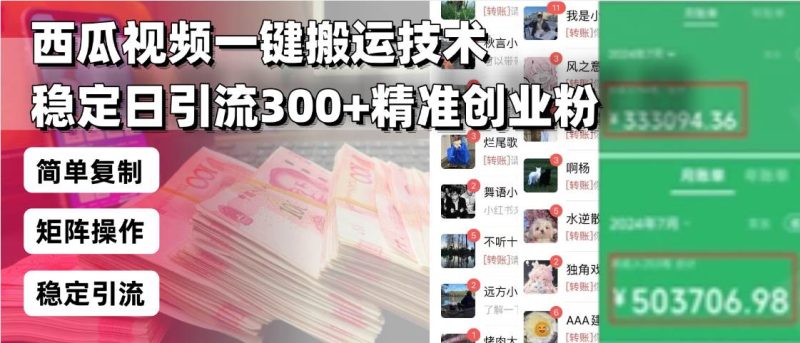 （13961期）西瓜视频一键搬运技术，稳定日引流300+精准创业粉，简单可复制给团队，… - 严选资源大全 - 严选资源大全