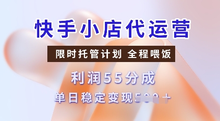 快手小店代运营，限时托管计划，收益55分，单日稳定变现多张【揭秘】 - 严选资源大全 - 严选资源大全