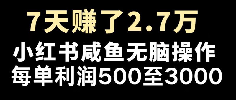 最赚钱项目之一,2025爆火,逆风翻盘! - 严选资源大全 - 严选资源大全