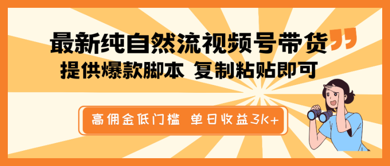 最新纯自然流视频号带货,提供爆款脚本简单 复制粘贴即可,高佣金低门槛,单日收益3K+ - 严选资源大全 - 严选资源大全