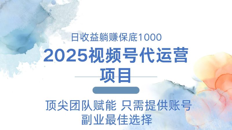 2025视频号代运营 日躺赚1000+ 只需提供账号 - 严选资源大全 - 严选资源大全