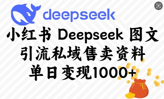 小红书Deepseek图文引流私域售卖资料，单日变现多张 - 严选资源大全 - 严选资源大全