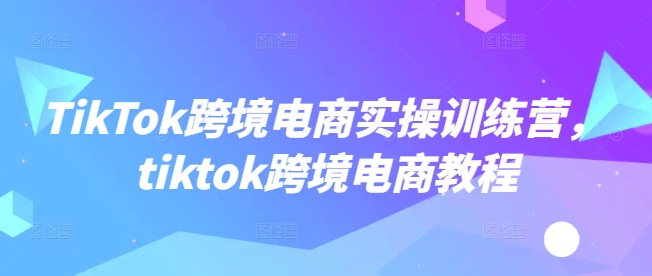 TikTok跨境电商实操训练营，tiktok跨境电商教程 - 严选资源大全 - 严选资源大全