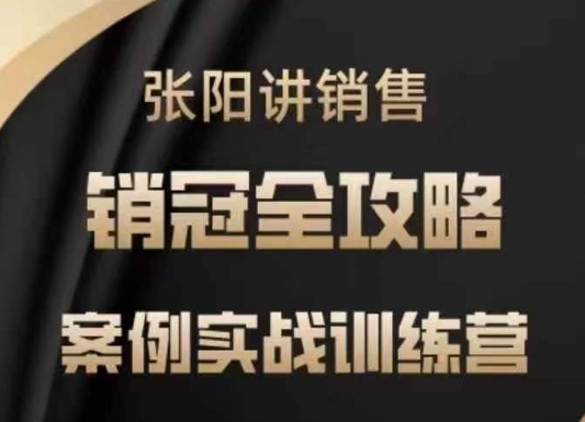 张阳讲销售实战训练营，​案例实战训练，销冠全攻略 - 严选资源大全 - 严选资源大全