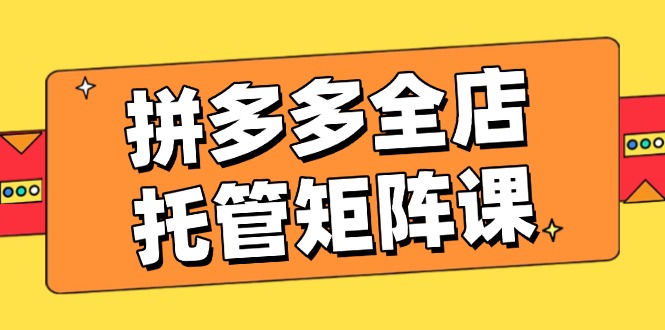 拼多多全店托管矩阵课，盈利动销玩法，高效计划设置，提升店铺效益 - 严选资源大全 - 严选资源大全