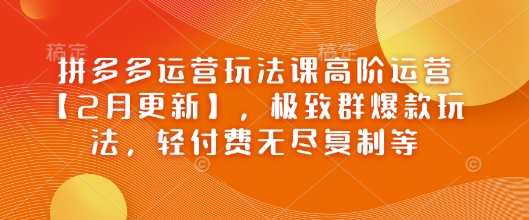 拼多多运营玩法课高阶运营【2月更新】，极致群爆款玩法，轻付费无尽复制等 - 严选资源大全 - 严选资源大全