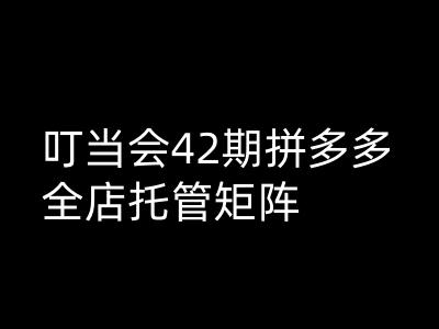 叮当会拼多多打爆班原创高阶技术第42期，拼多多全店托管矩阵 - 严选资源大全 - 严选资源大全