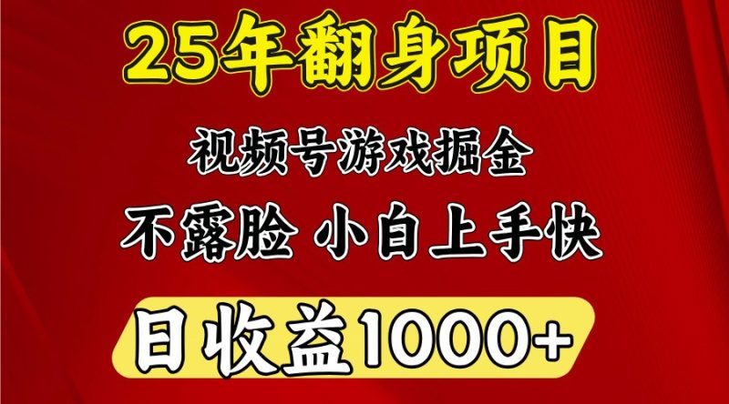 一天收益1000+ 25年开年落地好项目 - 严选资源大全 - 严选资源大全