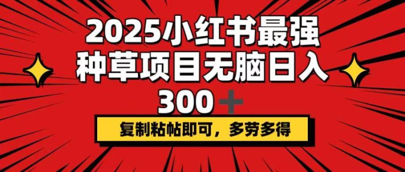 2025小红书最强种草项目,无脑日入300+,复制粘帖即可,多劳多得 - 严选资源大全 - 严选资源大全