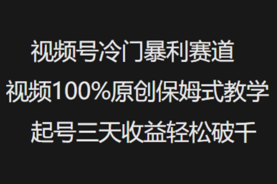 视频号冷门暴利赛道视频100%原创保姆式教学起号三天收益轻松破千 - 严选资源大全 - 严选资源大全