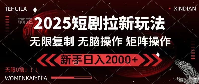 2025短剧拉新玩法,无需注册登录,无限0撸,无脑批量操作日入2000+ - 严选资源大全 - 严选资源大全