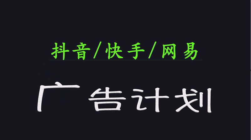 2025短视频平台运营与变现广告计划日入1000+，小白轻松上手 - 严选资源大全 - 严选资源大全