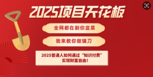 2025项目天花板普通人如何通过知识付费，实现财F自由【揭秘】 - 严选资源大全 - 严选资源大全